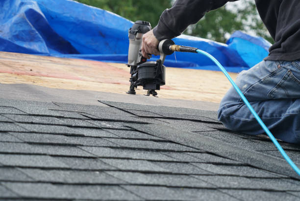 Best Roof Insulation Installation  in Lynnwood, WA